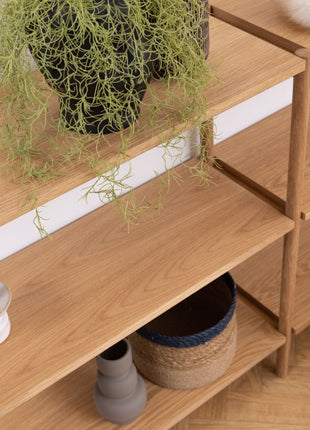 Braidwood Bookcase with 4 Shelves in Oak